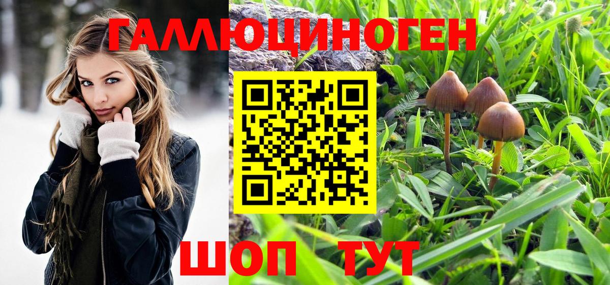 Галлюциногенные грибы Cubensis Полевской